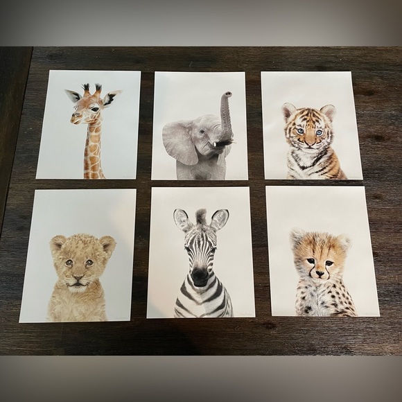 Other - 8x10 in. Safari Baby Animals Nursery Wall Decor, 6 Pictures